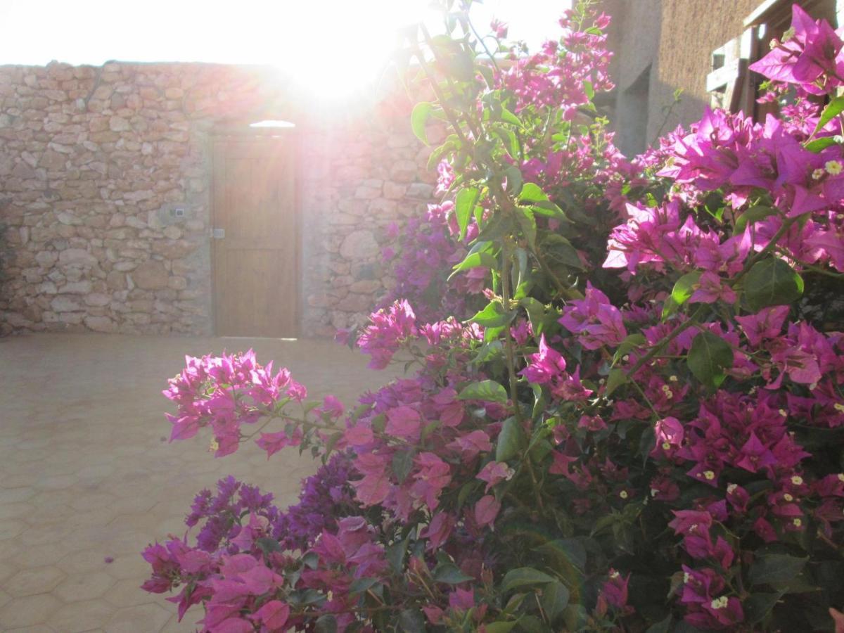 Taforhalt Ksar Montana Hotel, Chambres Piscine מראה חיצוני תמונה